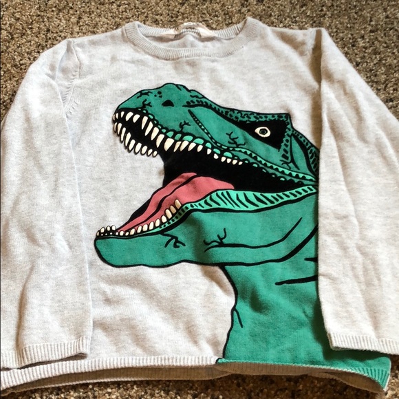 H&M Other - Boys dinosaur sweater